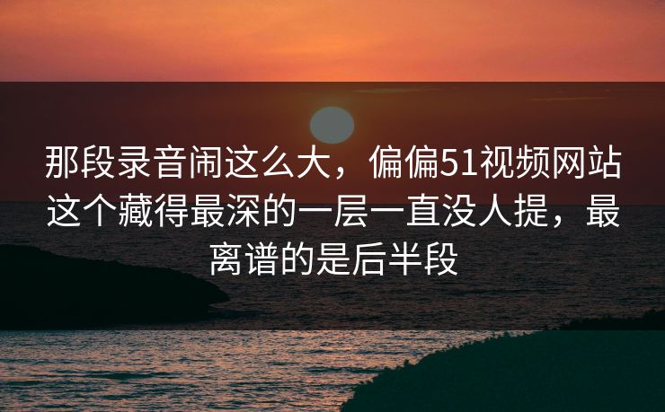 那段录音闹这么大，偏偏51视频网站这个藏得最深的一层一直没人提，最离谱的是后半段